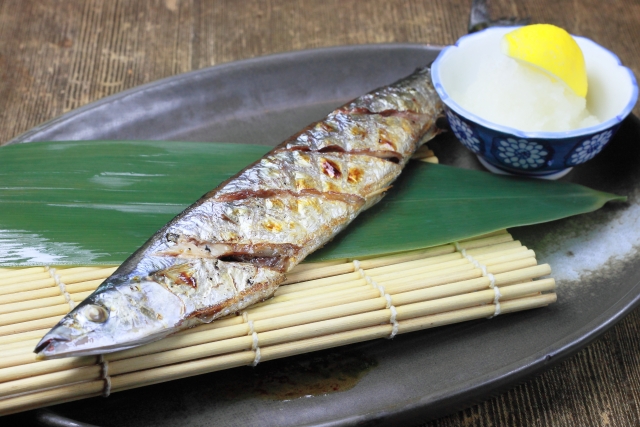 脂（あぶら）の多い魚植物油│乾燥肌にいい栄養素